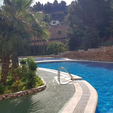 Apartamento Benidorm Viena Eksteriør billede